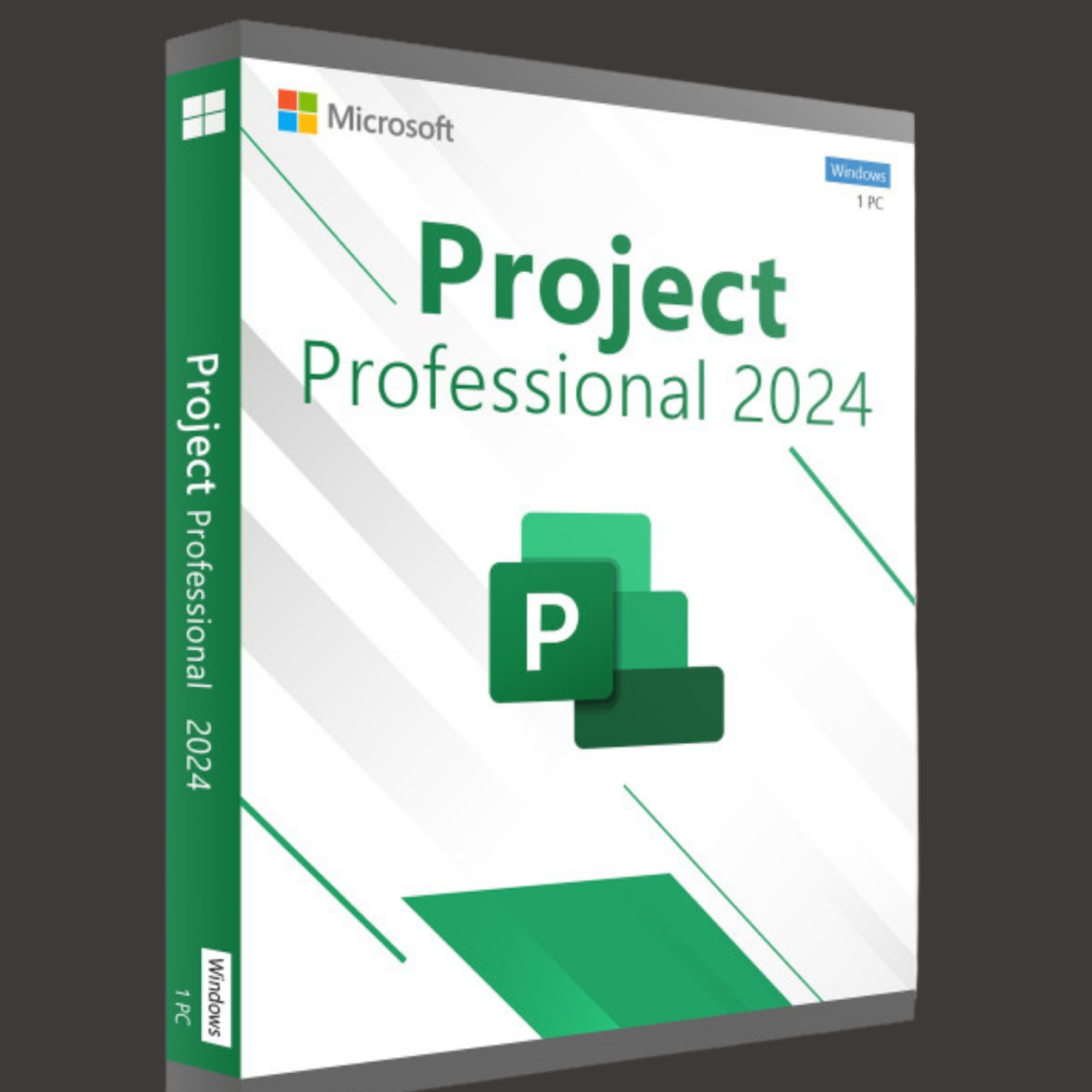 Microsoft Project Professional 2024