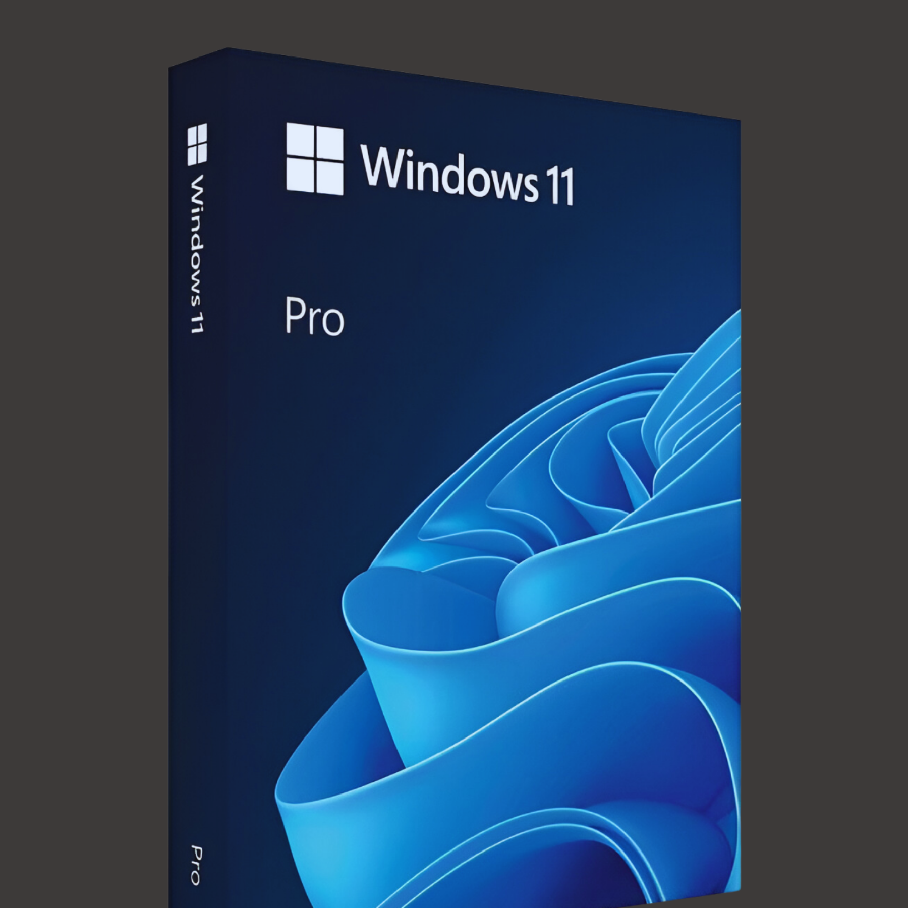 Windows 11 Pro
